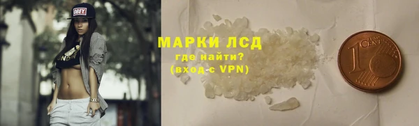крисы Алзамай
