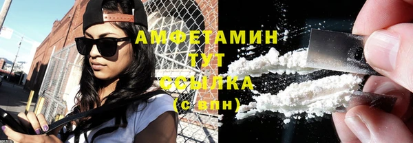 крисы Алзамай